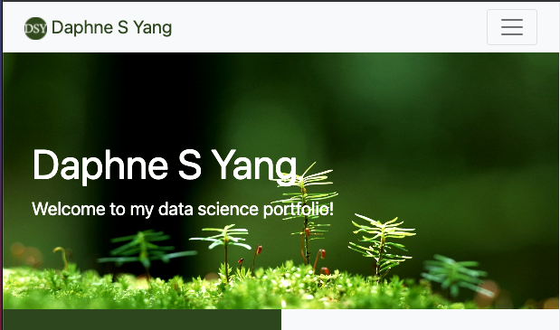 screen capture portfolio